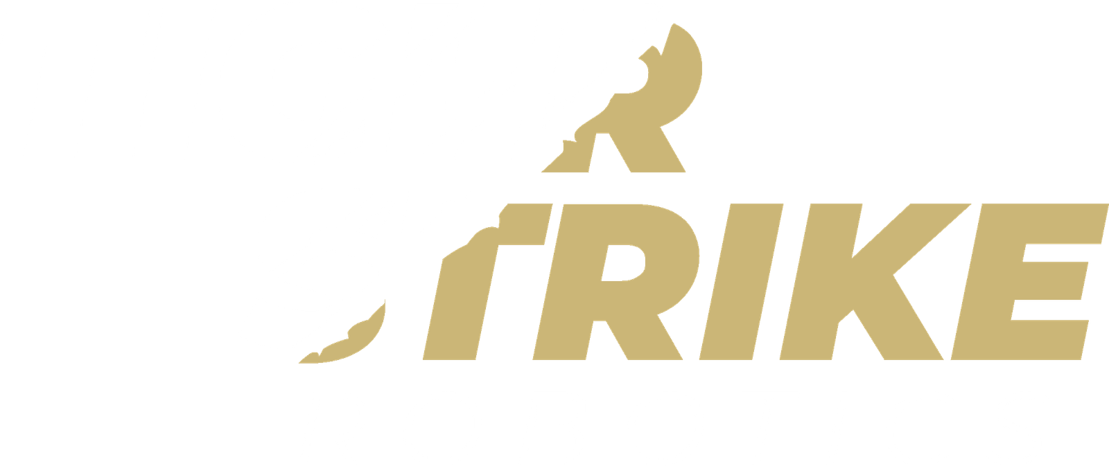 Tiger Strike Robotics Logo